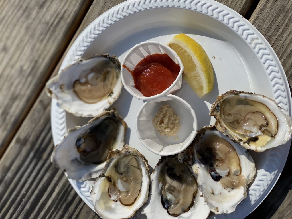 Martha’s Vineyard 
Island Hopping 
Cuttyhunk
Island Girl Excursions 
We Love MV 