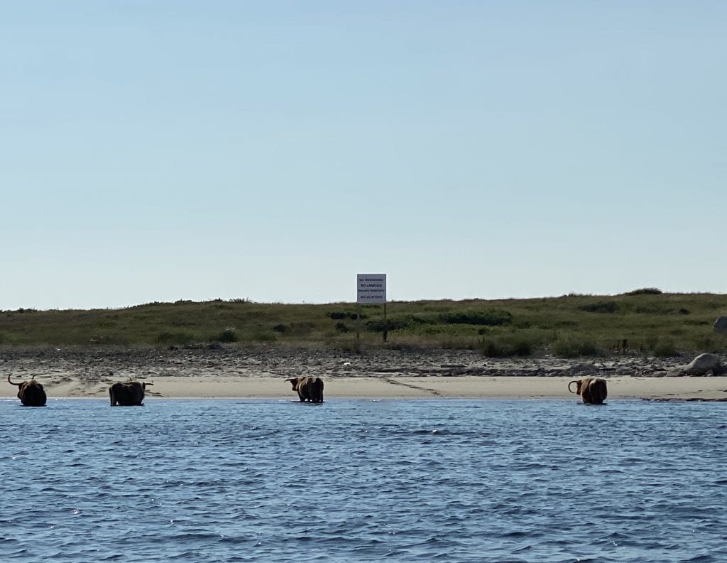 Martha’s Vineyard 
Island Hopping 
Cuttyhunk
Island Girl Excursions 
We Love MV 