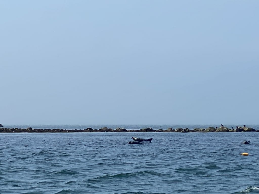 Martha’s Vineyard 
Island Hopping 
Cuttyhunk
Island Girl Excursions 
We Love MV 