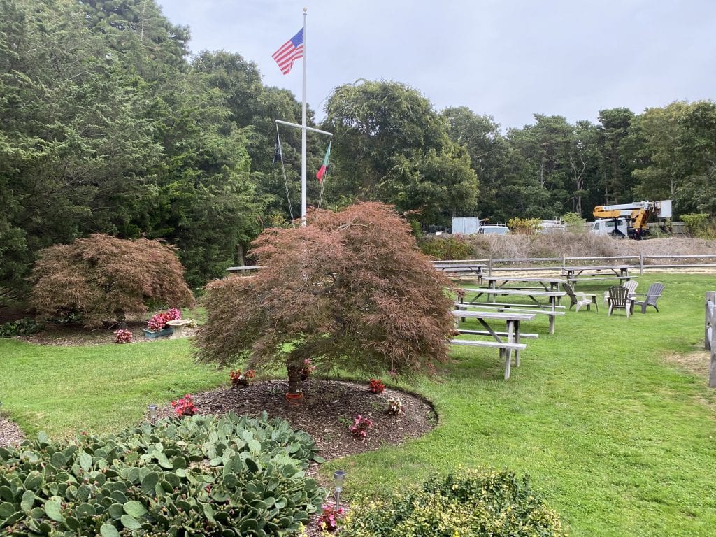 The Food Truck
The Offshore Ale Food Truck
The PA Club
Oak Bluffs 
Martha’s Vineyard 