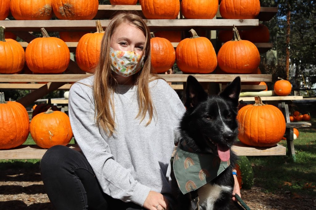 Bossy Dog MV
Handmade masks and bandanas
Martha’s VIneyard 