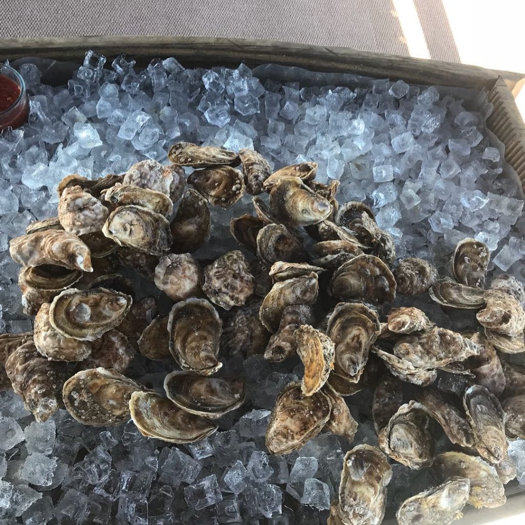 SHOP LOCAL MV This Holiday Season - Cottage City Oysters | Oak Bluffs