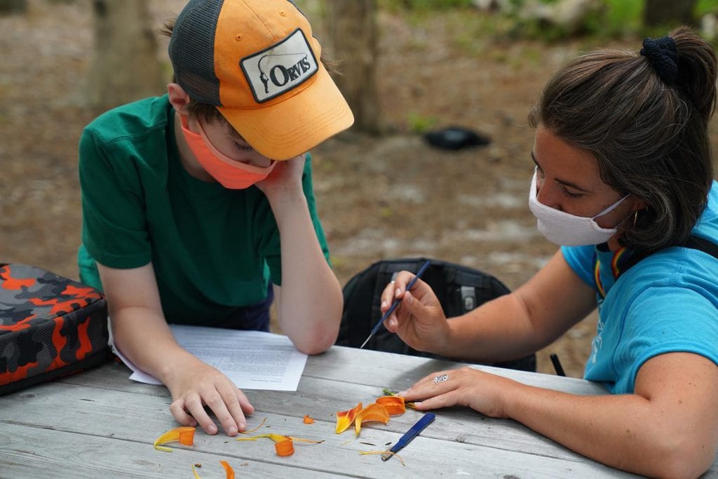 WE LOVE MV: Summer Camps On Martha’s Vineyard Summer 2021 - Fern & Feather Nature Day Camp at Felix Neck