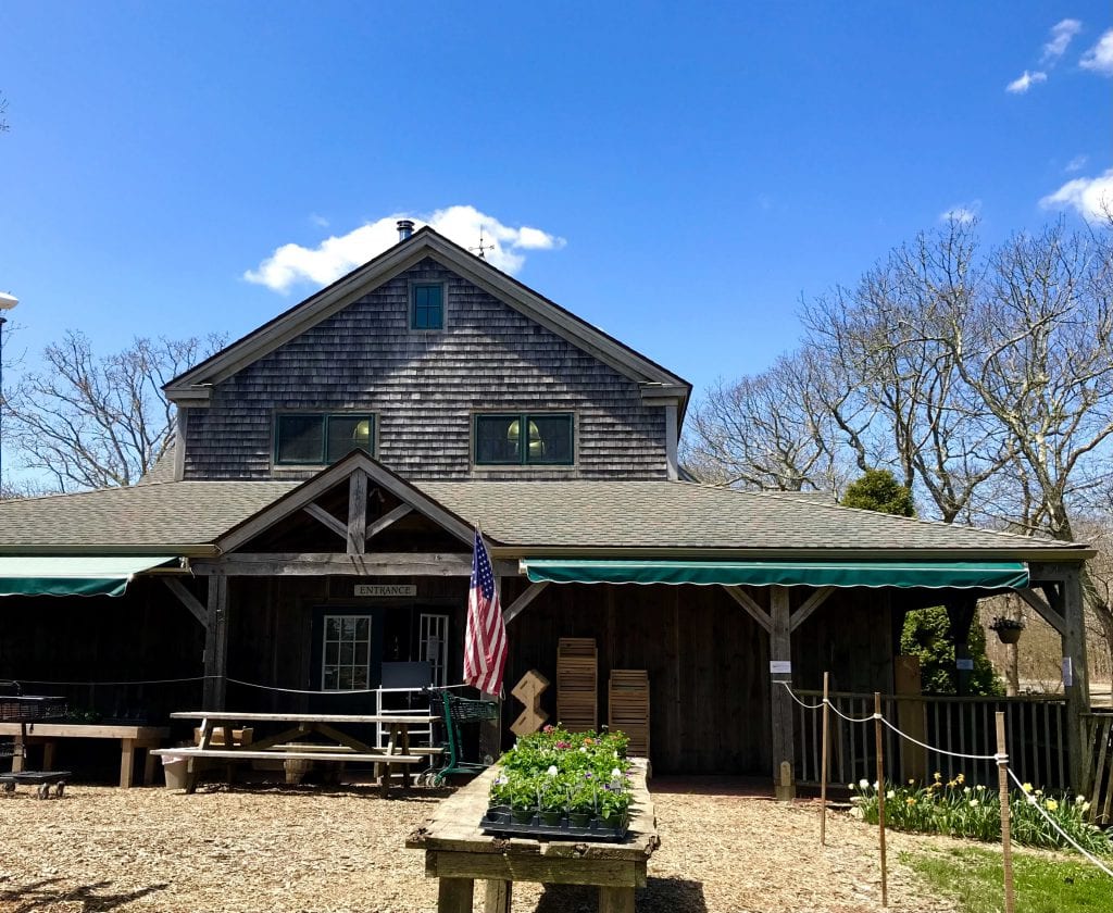 Martha's Vineyard Restaurants Spring Open For The Season Black Sheep The Atlantic Morning Glory Farm