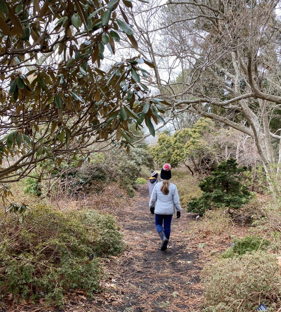 Gnome Hunt
Polly Hill Arboretum 
Marthas Vineyard
We Love MV