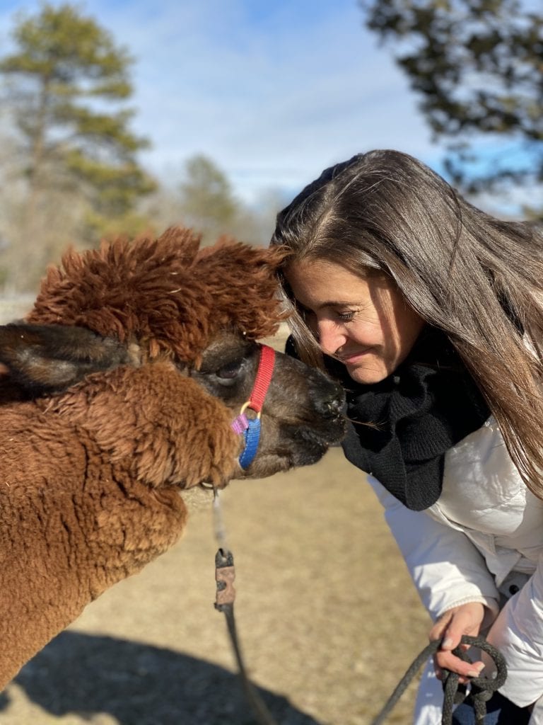 Island Alpaca
Martha’s Vineyard Bucket List
Point B Realty

