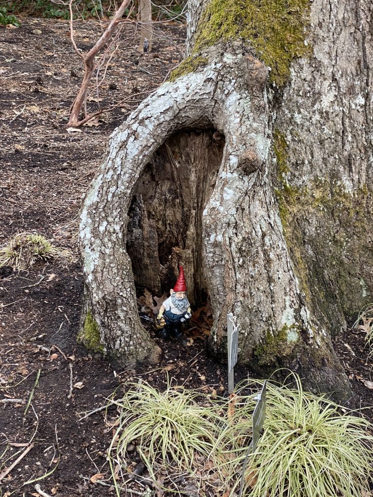 WE LOVE MV: Spring Fun On Martha’s Vineyard - Polly Hill Arboretum Gnome Hunt