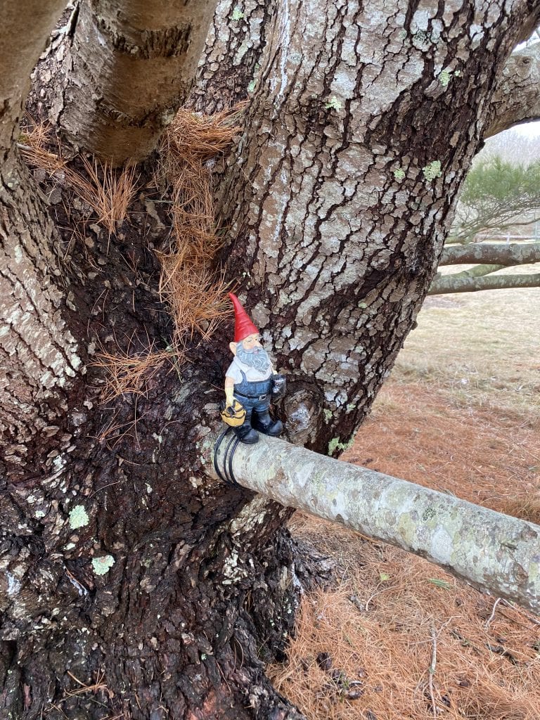 Gnome Hunt
Polly Hill Arboretum 
Marthas Vineyard
We Love MV
