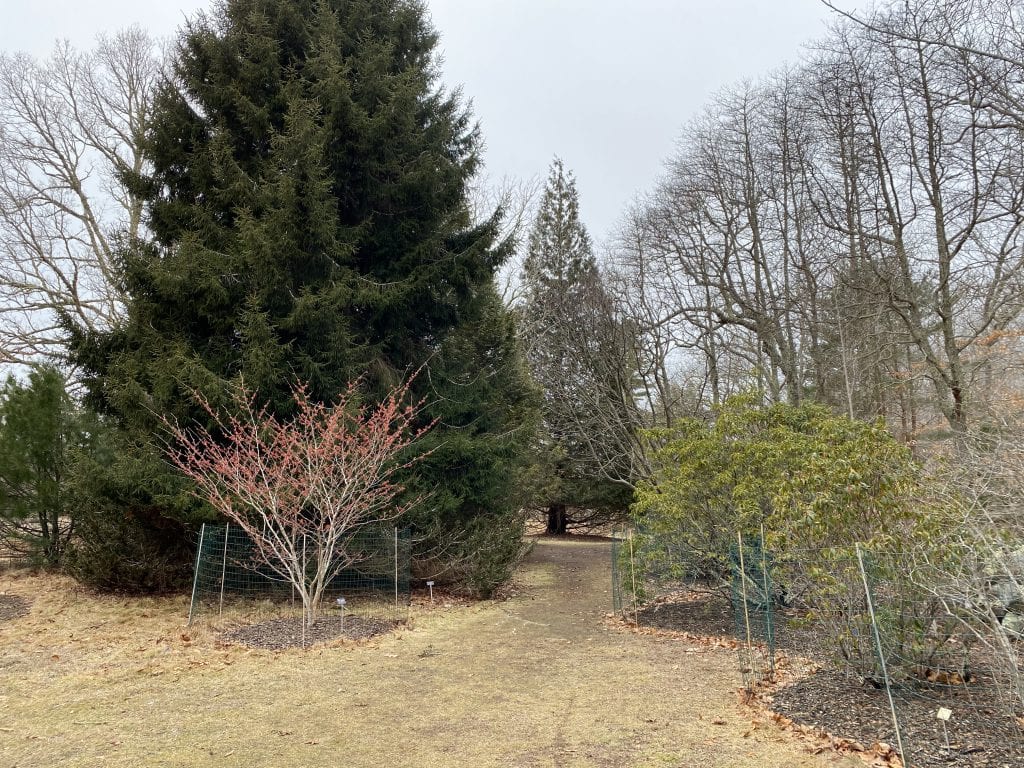 Gnome Hunt
Polly Hill Arboretum 
Marthas Vineyard
We Love MV