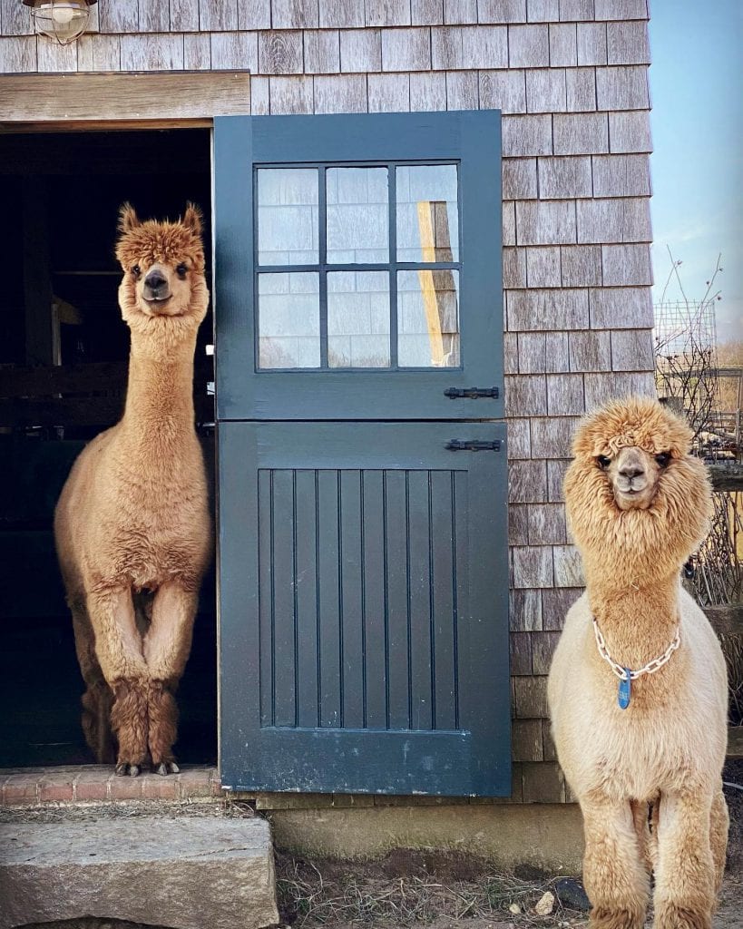 WE LOVE MV: Point B Realty Picks For Best Of The Vineyard - Family Activity Best of Martha's Vineyard