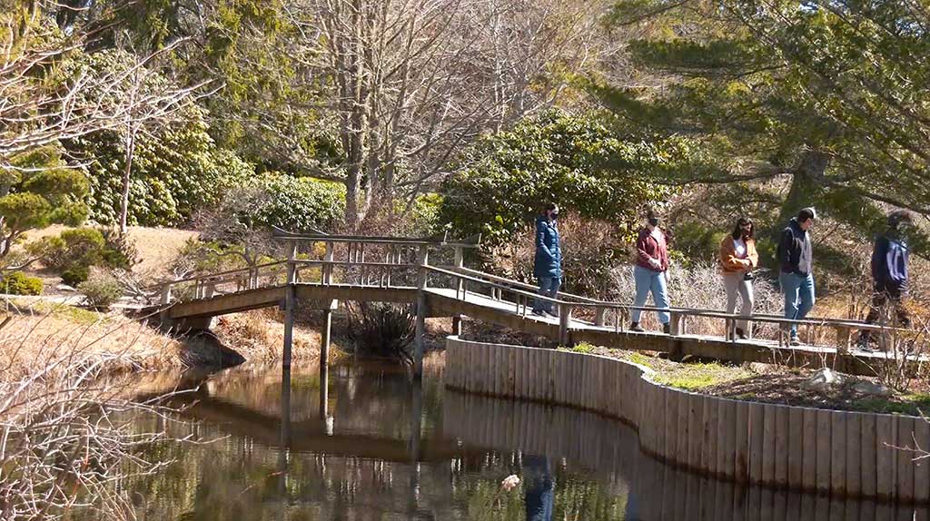 Martha's Vineyard Bucket List: Chappy Adventure - Visitors Walking Through The Gardens At Mytoi
