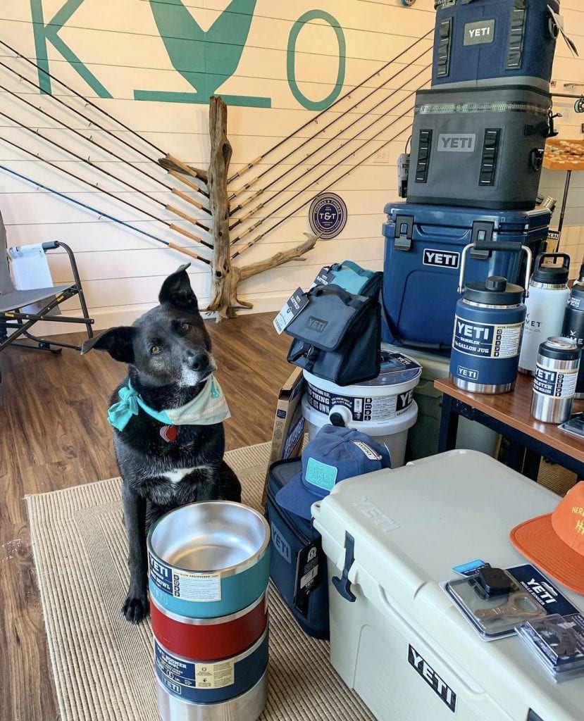 WE LOVE MV
Kismet Outfitters
Fly Fishing
Guides
Martha’s Vineyard 
Edgartown 