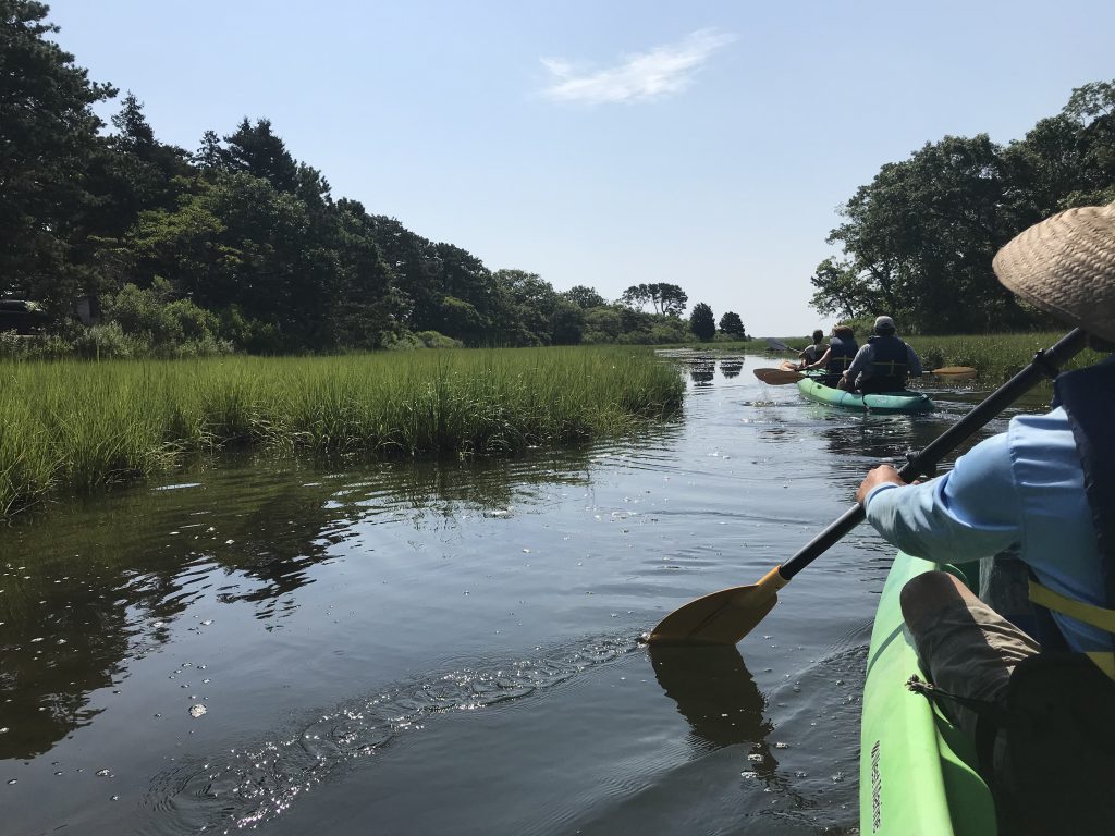 The Trustees
Chappy 
Edgartown
Martha’s Vineyard
Summer 2021