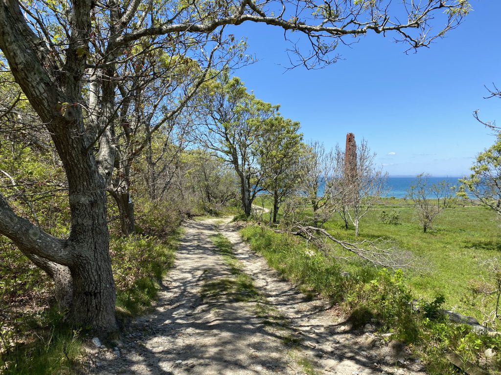 Martha's Vineyard Bucket List Discovering The Brickyard In Chilmark
Point B Realty