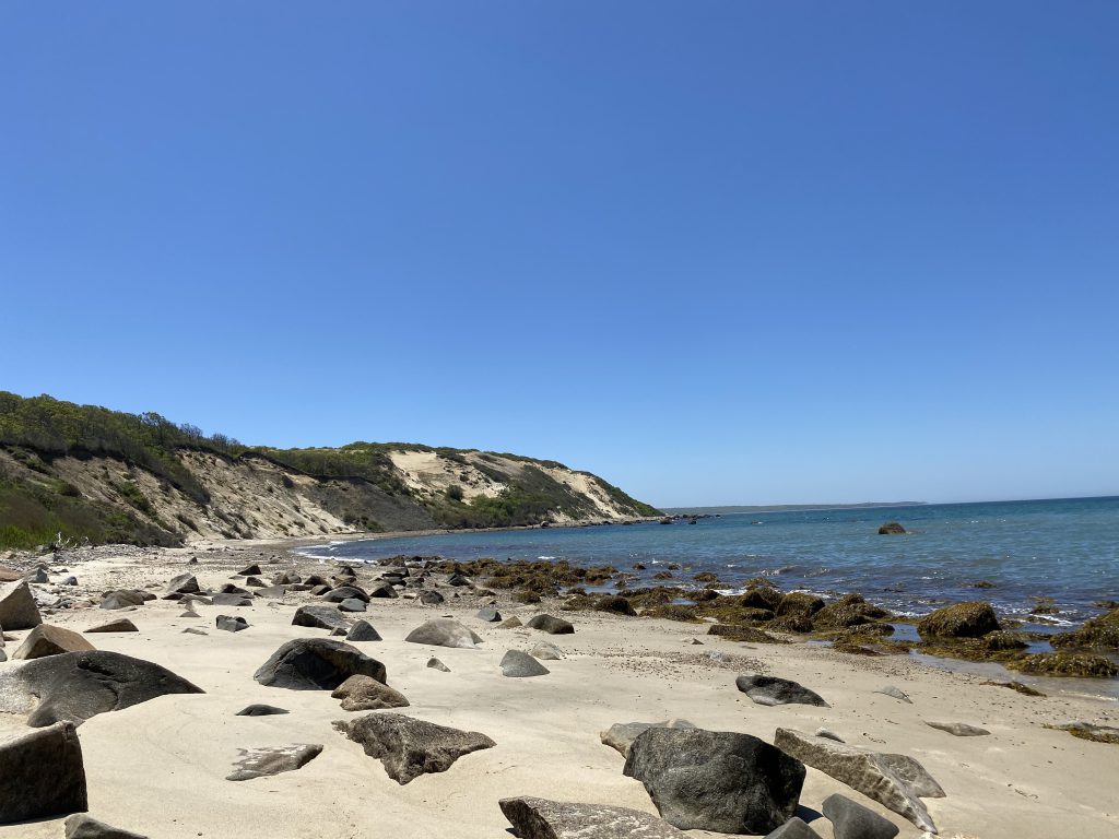 The Brickyard
The Trustees
Martha's Vineyard
Chilmark
Point B Realty
Martha's Vineyard Bucket List