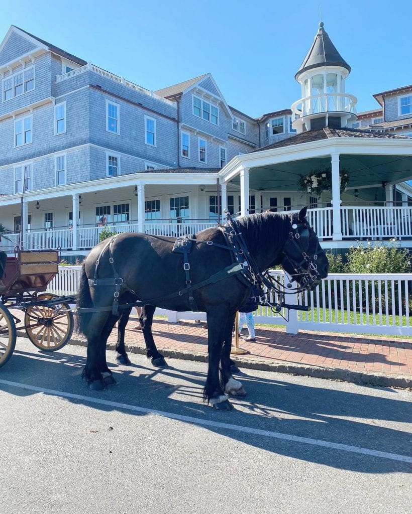 Horse-drawn Carriage Rides Pink and Green Weekend Edgartown Martha's Vineyard Harbor View Hotel