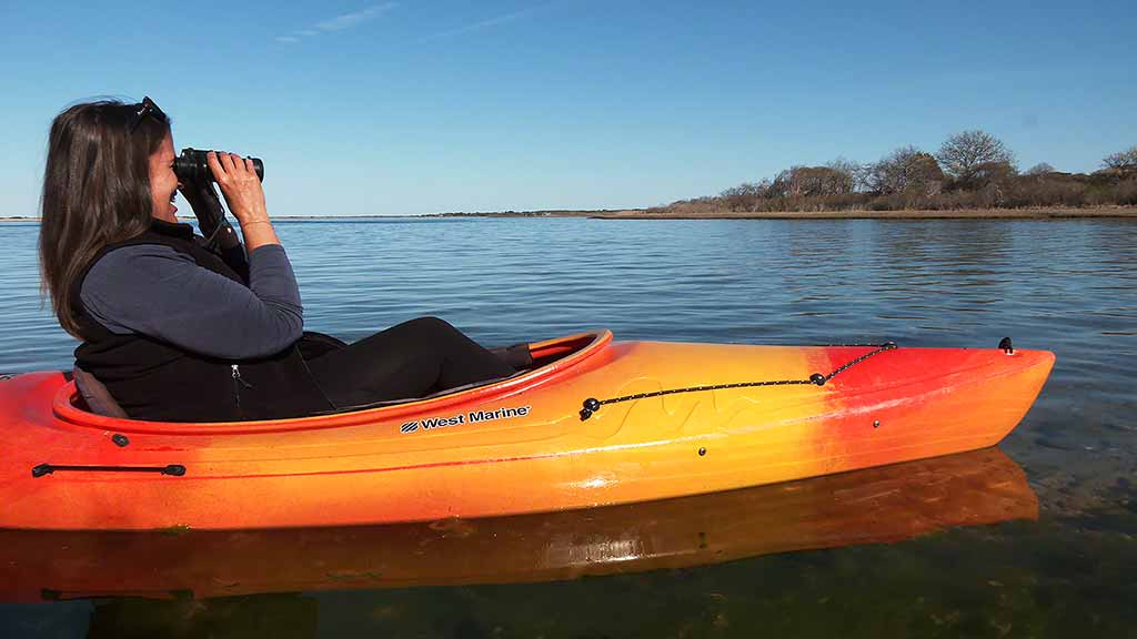 Martha's Vineyard Bucket List: Exploring Felix Neck Wildlife Sanctuary - Felix Neck by Water - Kayak Tour Discovering Sengekontacket Pond