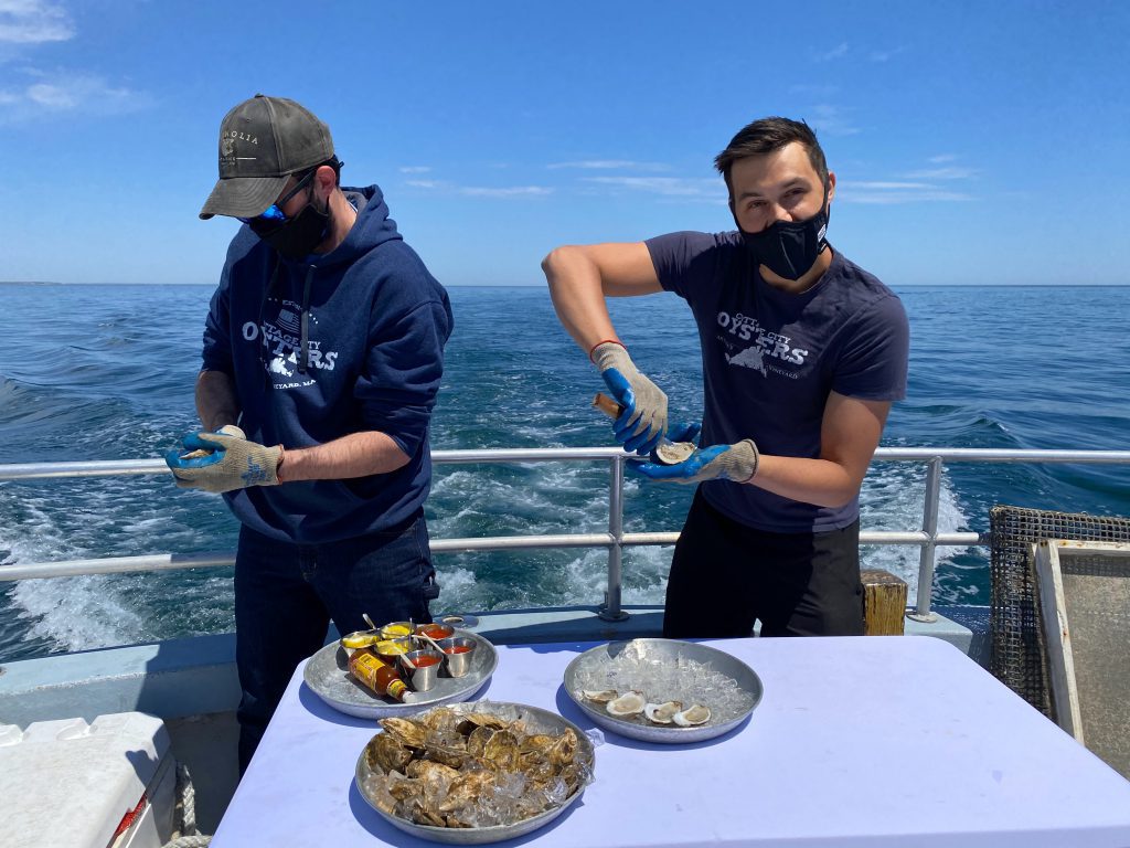 Experience Cottage City Oyster Farm Tours On Martha's Vineyard - Fresh Oyster Shucked On Oyster Tour