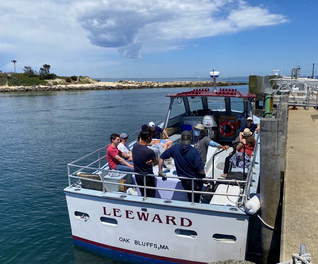 Experience Cottage City Oyster Farm Tours on Martha's Vineyard Point B Realty Oak Bluffs Eat Local