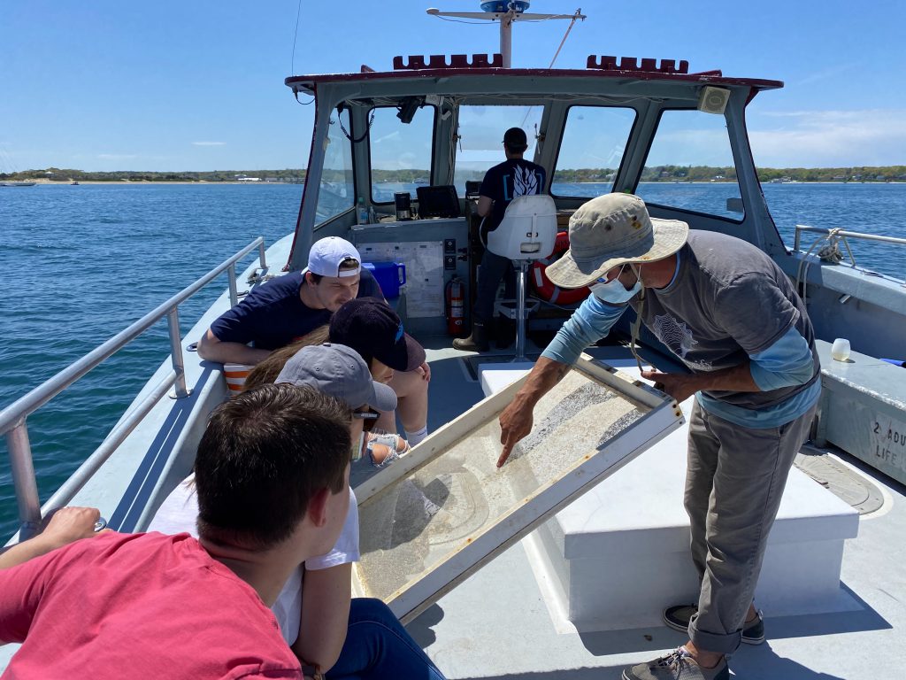 Cottage City Oysters Farm Tours Oyster Farms Martha's Vineyard 
Point B Realty Oak Bluffs 