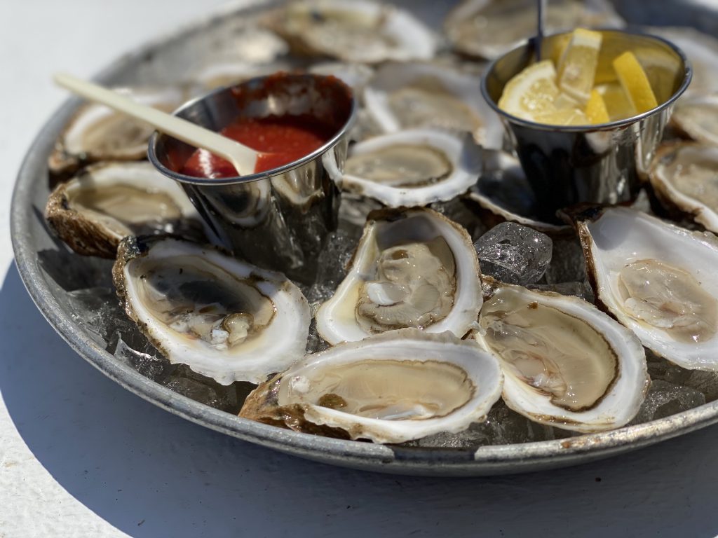 Cottage City Oysters Farm Tours
Cottage City Oysters 
Oyster Farms
Martha's Vineyard 
Point B Realty
Oak Bluffs 
Support Farmers 
Eat Local