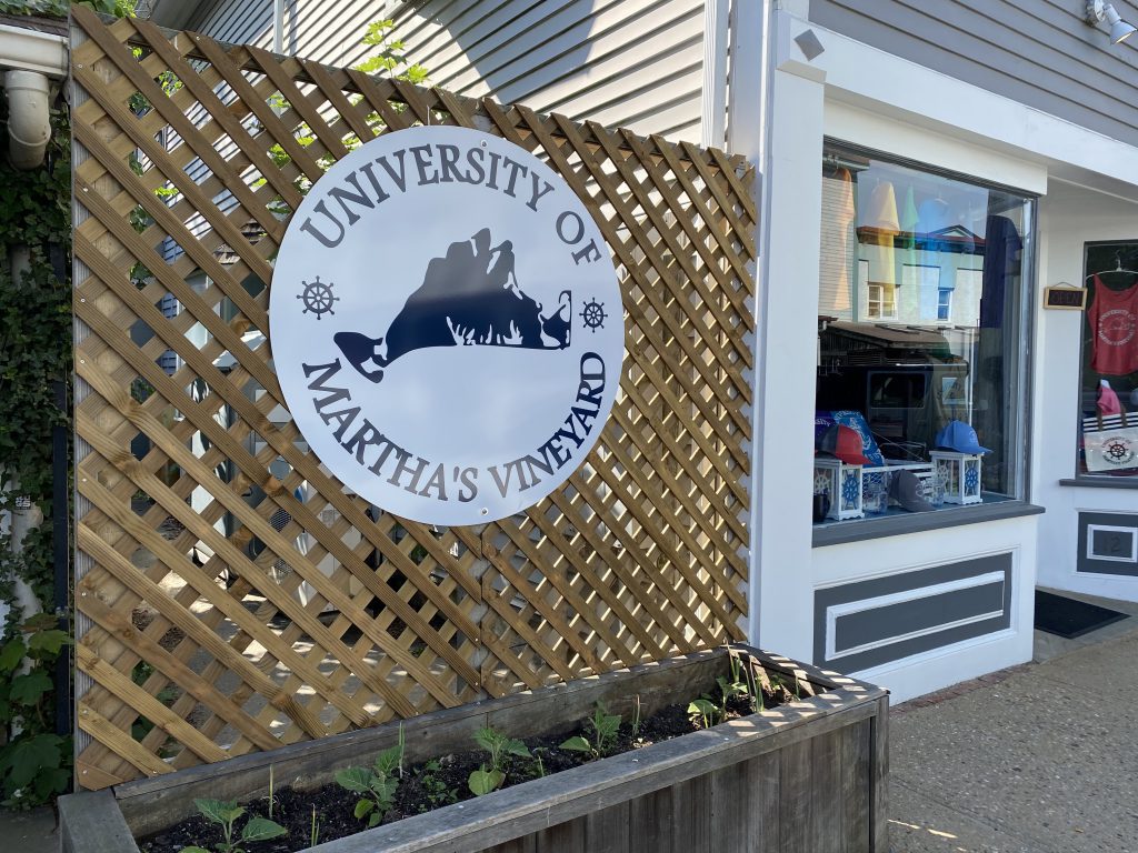 University of Martha's Vineyard
Visit Vineyard Haven
Maratha's Vineyard 
What's new
Point B realty
Summer 
Summer 2021