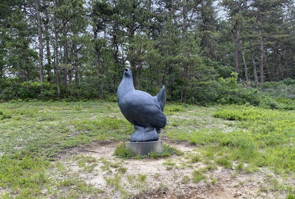 Martha's Vineyard Bucket List: Biking The Vineyard Biking Thru Manuel F. Correllus State Forest Boomin Ben Statue