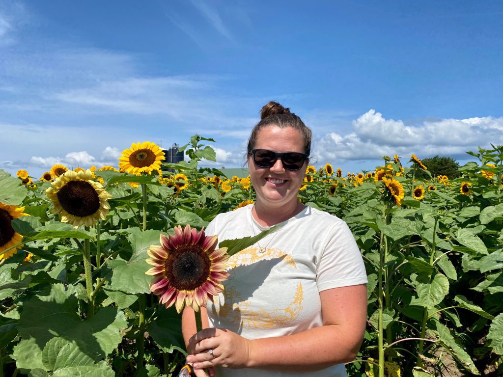 Pick Your Own Sunflowers
The FARM Institute
Katama Farm
Katama 
Visit Edgartown
Martha's Vineyard 
The Trustees 
Point B Realty