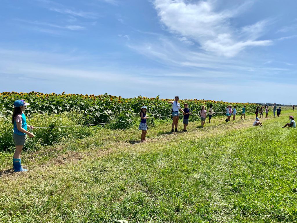 FARM Camp
The FARM Institute
Katama Farm
Katama 
Visit Edgartown
Martha's Vineyard 
The Trustees 
Point B Realty