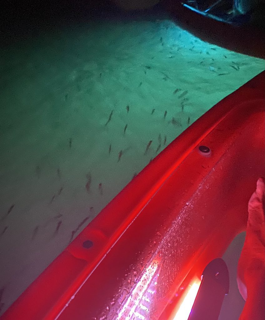 Glow Kayak
Island Spirit Kayak
Martha's Vineyard
Visit Martha's Vineyard 