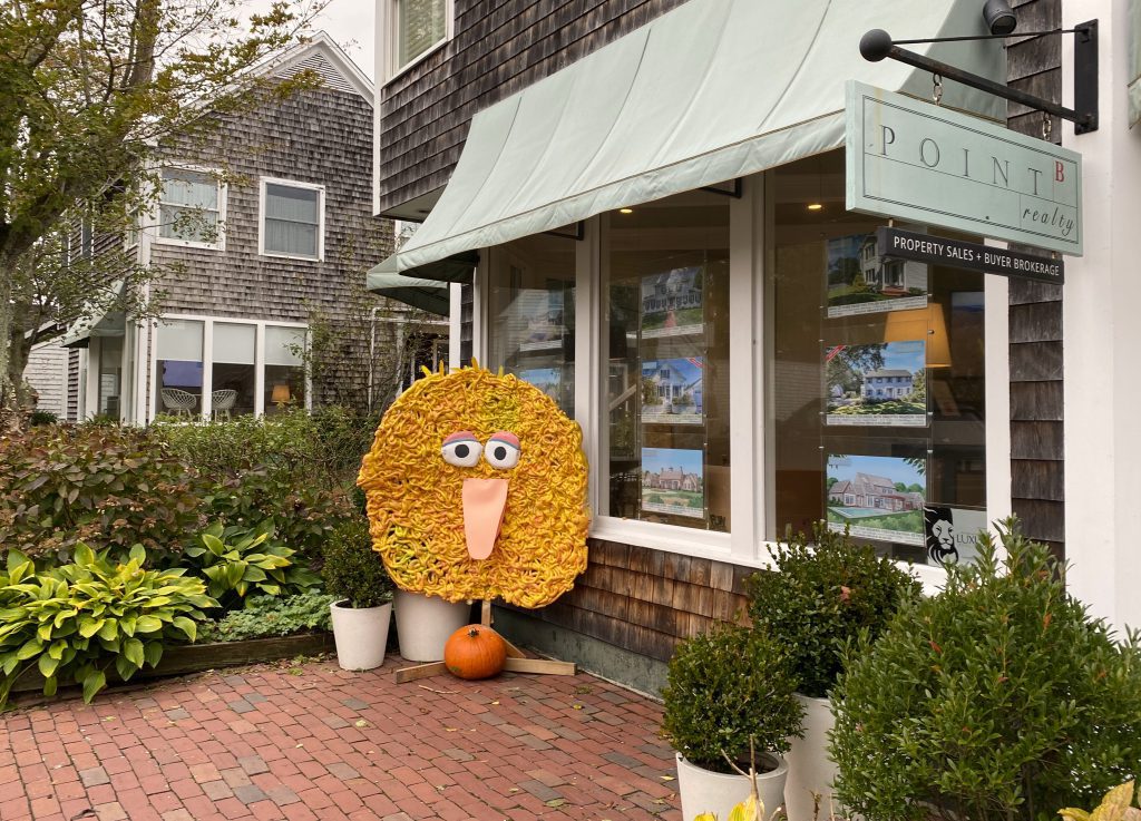 Big Bird
Halloween
Martha's Vineyard 
Martha's Vineyard Public charter school 
scarecrows