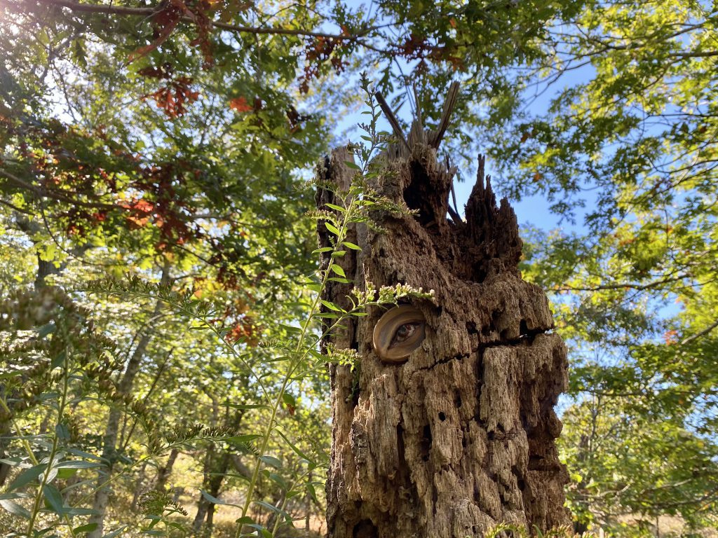 Island Folk Pottery
Island Folk Pottery Sculpture Trail
Chilmark 
Martha's Vineyard
Family Friendly Activities 
Local Artists 
Pottery