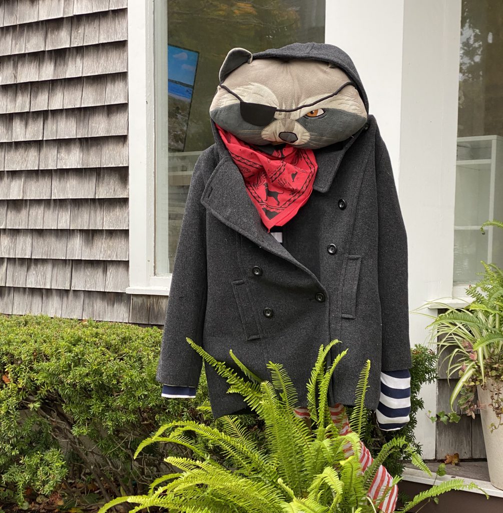 Guardians of the Galaxy
Halloween
Martha's Vineyard 
Martha's Vineyard Public charter school 
scarecrows