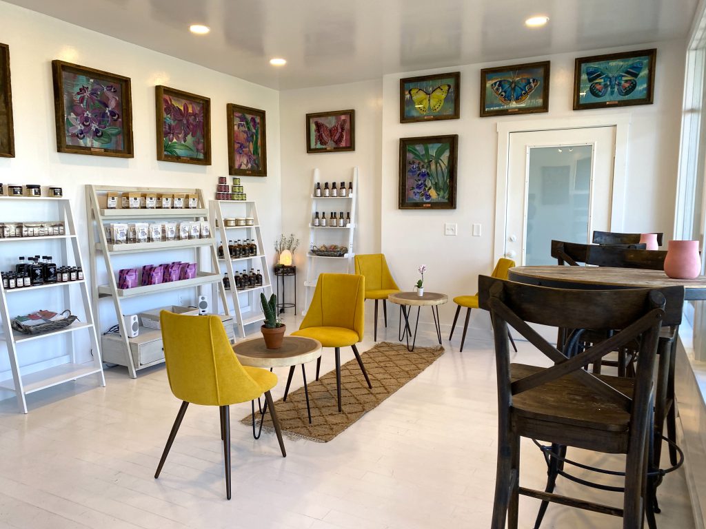 Tansy Tea & Coffee By Juice By the Sea In Vineyard Haven Vegan Cafe 
Vineyard Haven Martha's Vineyard
Juice By the Sea