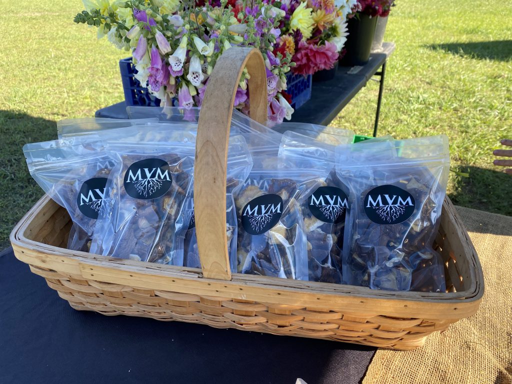 Wednesdays At The Fall West Tisbury Farmer's Market On Martha's Vineyard
MV Mycological 
Fall on Martha's Vineyard 
Shop local
Eat Local