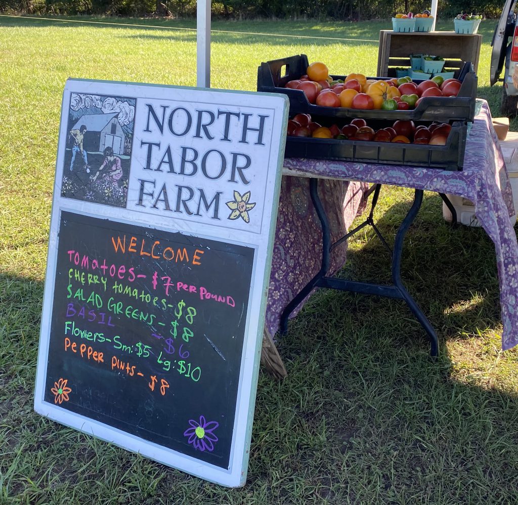 Wednesdays At The Fall West Tisbury Farmer's Market On Martha's Vineyard
North Tabor Farm
Fall on Martha's Vineyard 
Shop local
Eat Local