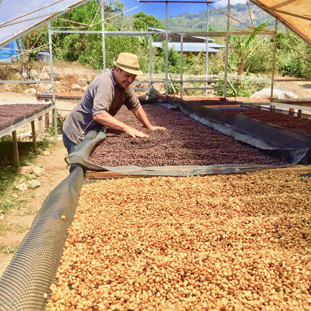 Martha's Vineyard Coffee Company
Small batch
Roasted on Marthas vineyard
Coffee
Costa Rica 
Made on Martha's vineyard