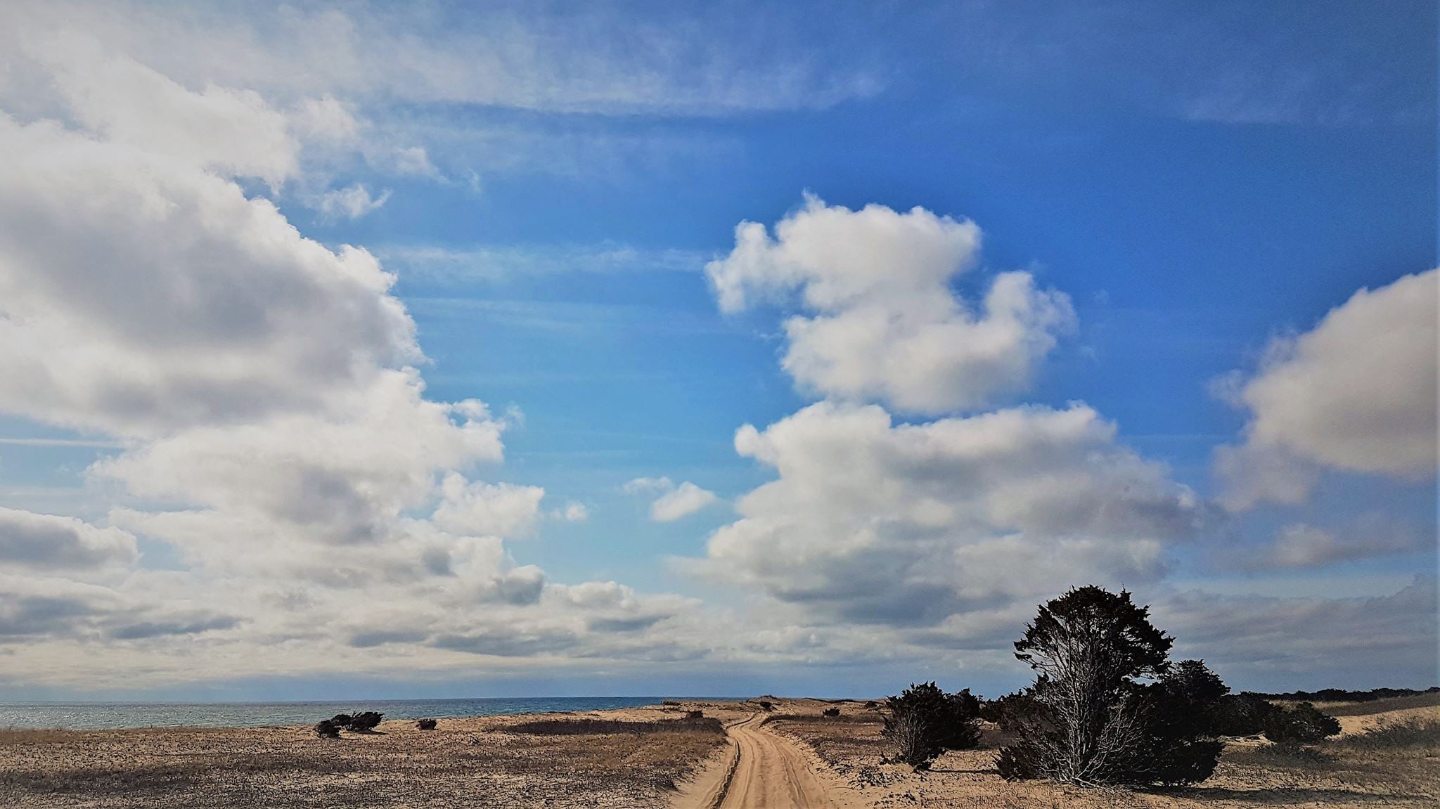 Oversand Vehicle 
Norton Point
Martha's Vineyard
The Trustees 
Summer 
Edgartown