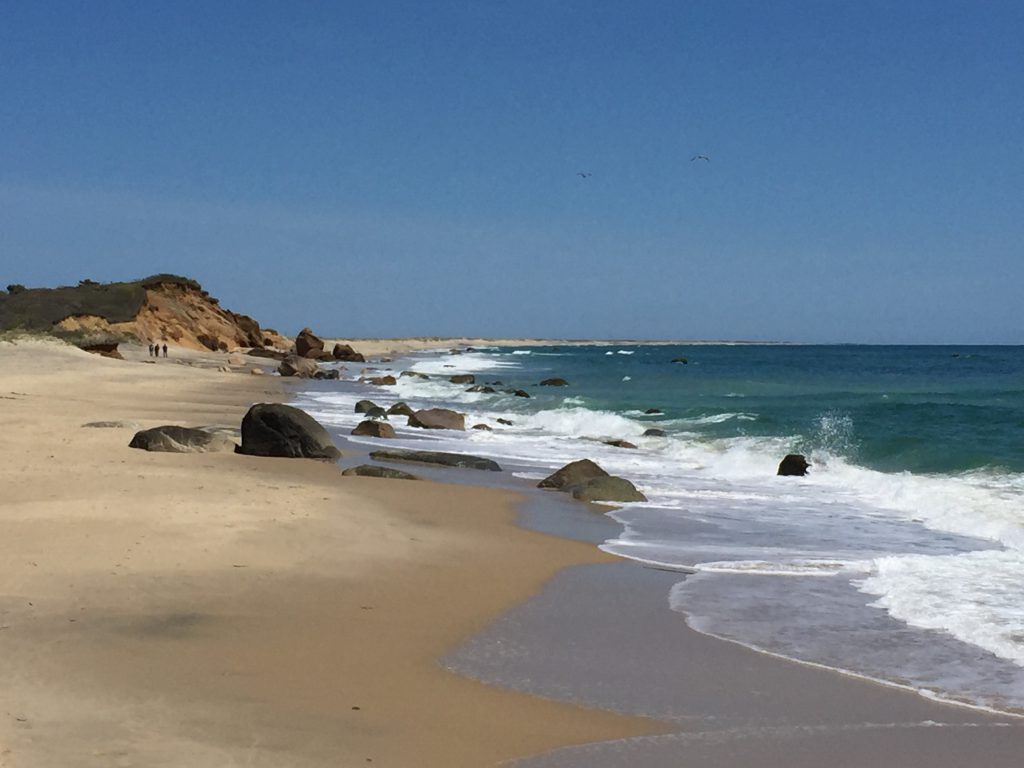 Best of the Vineyard 
Best Beach l
Lucy Vincent Beach
Marthas Vineyard 
Best of the Vineyard 2022