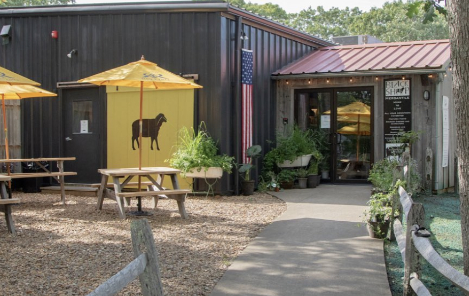 Black Sheep 
Edgartown
Martha's Vineyard
2022 