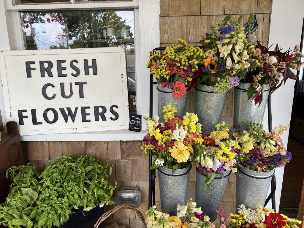 The New Larder Market + Provisions On Martha's Vineyard
Vineyard Haven
Butchery
Provisions
Flowers
Veggies
Martha's Vineyard 