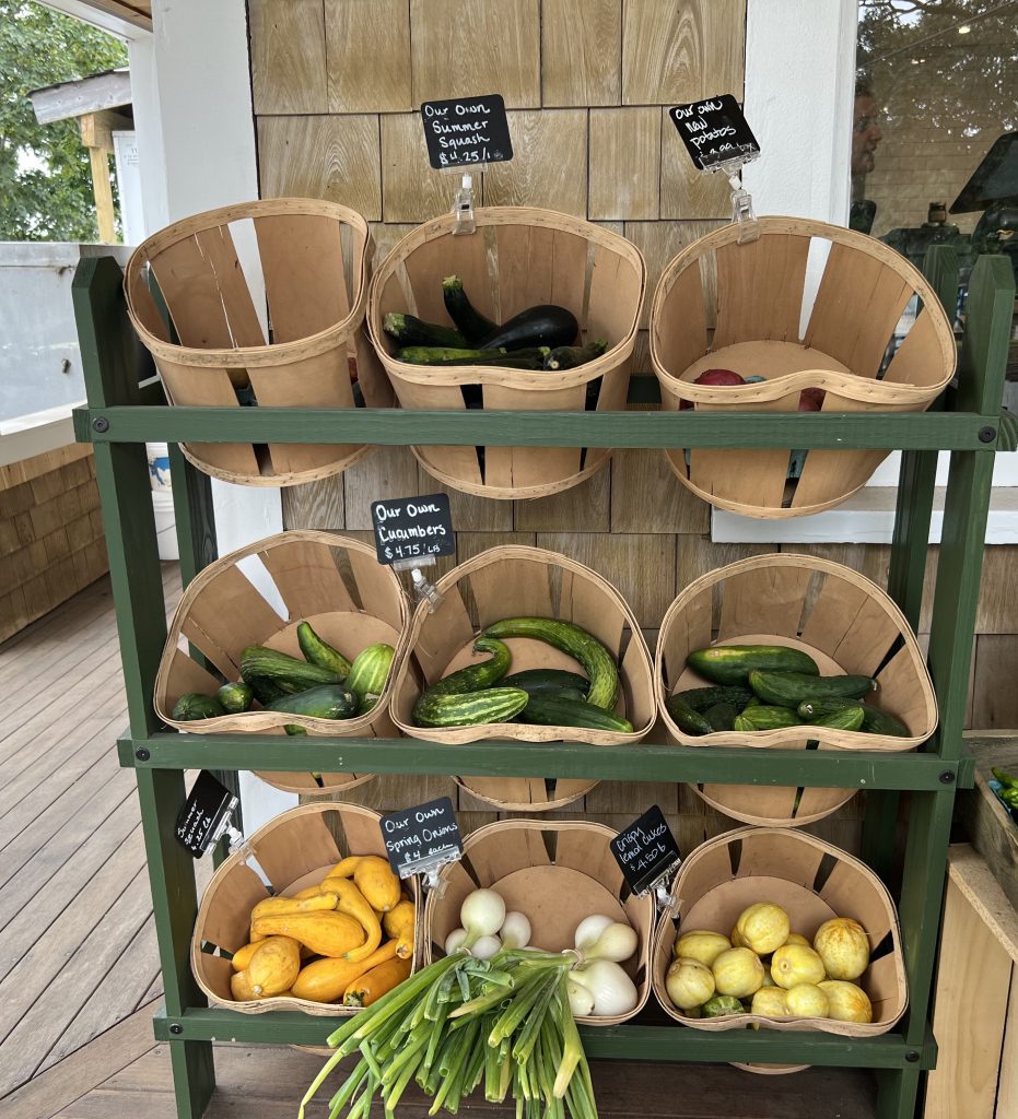 The New Larder Market + Provisions On Martha's Vineyard
Vineyard Haven
Butchery
Provisions
Shop local
Veggies
Martha's Vineyard 