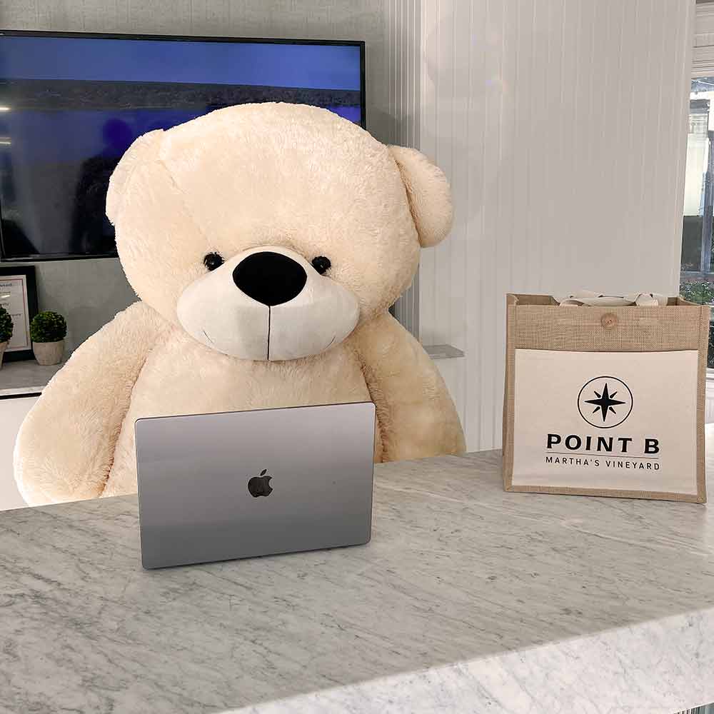 Name The New Big Bear Is A Martha's Vineyard Teddy Bear Suite Tradition