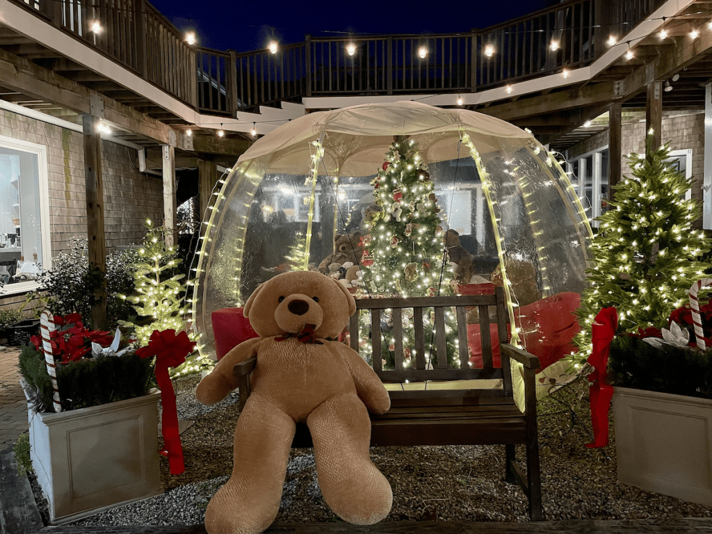 Support the MV Teddy Bear Suite Fundraiser Help Fight Childhood Food Security Issues On Martha's Vineyard