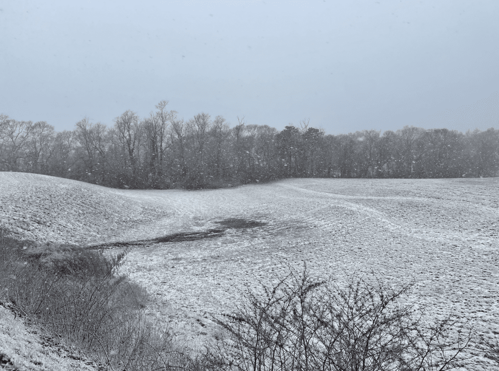 Martha's Vineyard in the snow at Tisbury Overlook. 