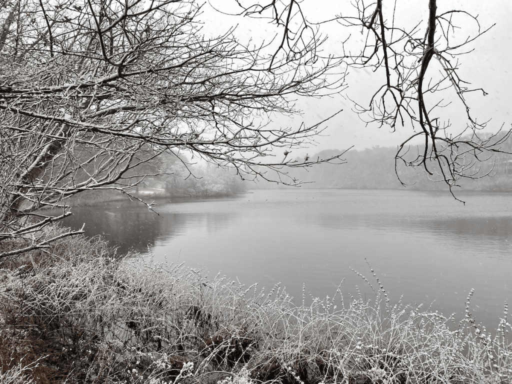 Martha's Vineyard in the snow at Duarte's pond. 