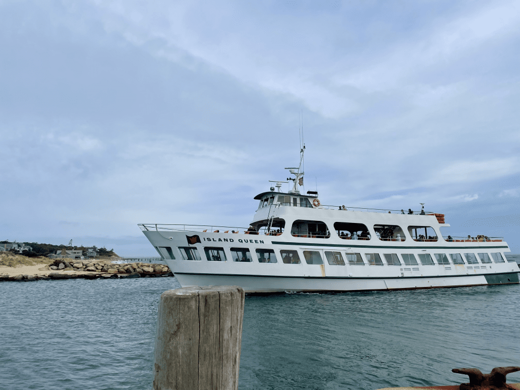 Pet-Friendly Martha's Vineyard: How to Make the Most of Your Stay with Your  Four-Legged Friends, image size:1024x768