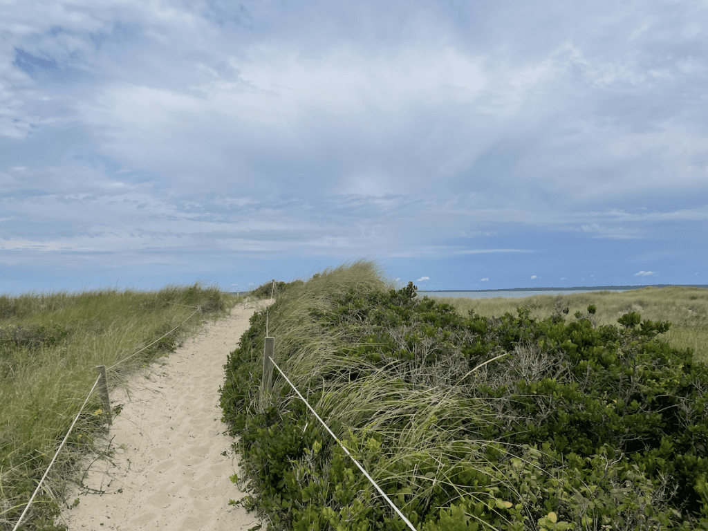 Giving Season Spotlight: 10 Martha's Vineyard Non-Profits Making a Difference Sheriff's Meadow Sanctuary Cedar Tree Neck Sanctuary in West Tisbury is one of the many conserved properties managed by Sheriff's Meadow Foundation