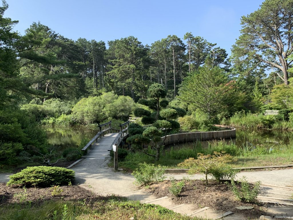 Experience Mytoi Japanese Gardens on Chappaquiddick aglow on Saturday evening. Christmas in Edgartown Martha's Vineyard