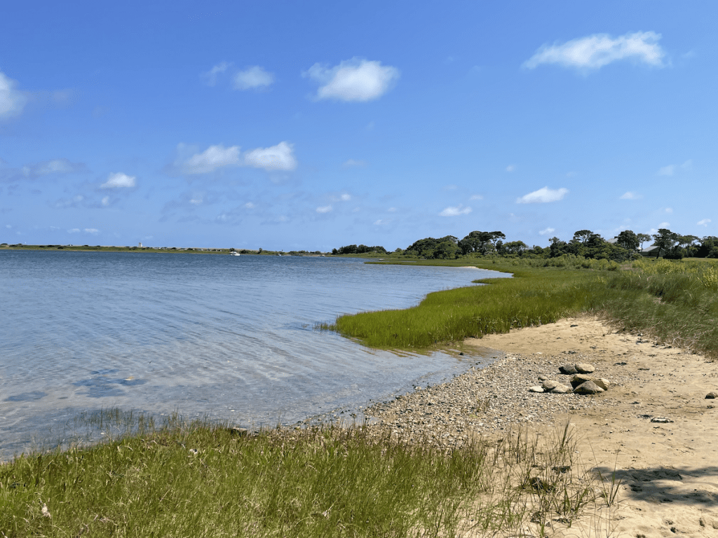 Point B Realty Picks for Best of the Vineyard 2024 Best Nature Walk On Martha's Vineyard